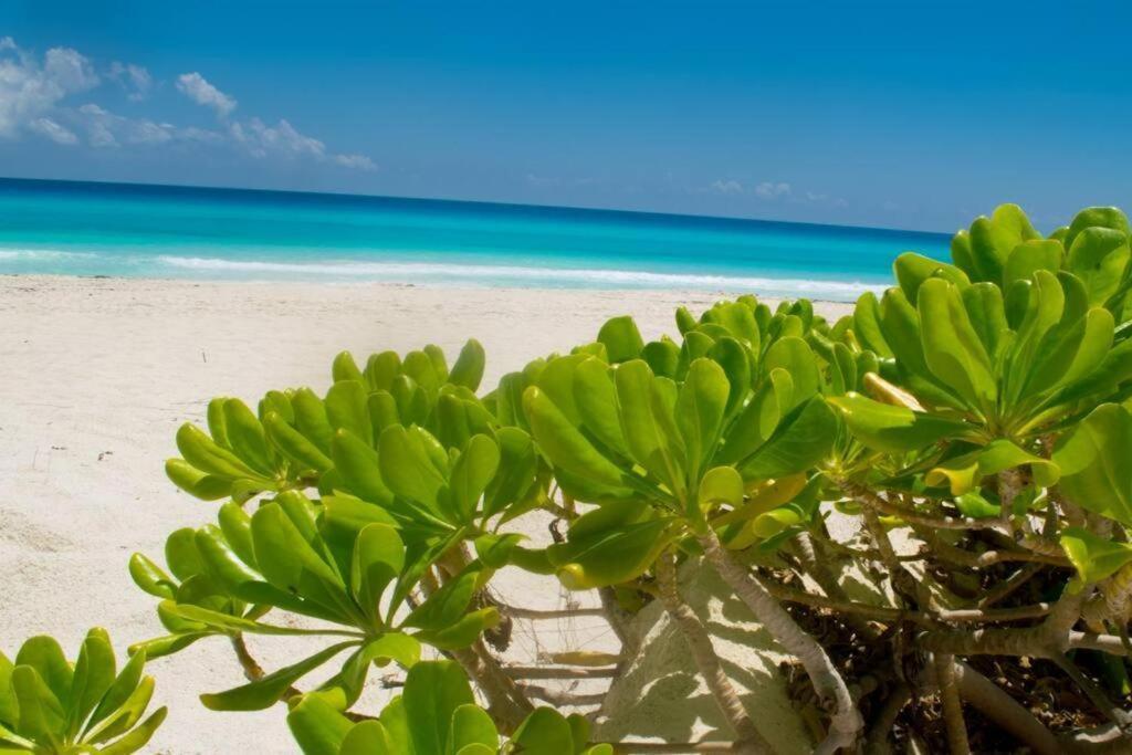 Ocean View Apartment, Best Beach Area, 3 Bedrooms Cancun Dış mekan fotoğraf